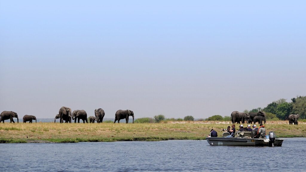 Chobe National Park, Botswana