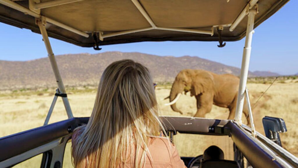 Exploring Private Safaris