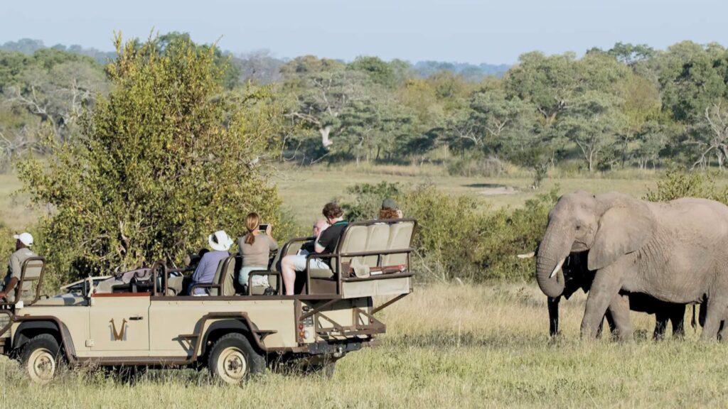 Guided Group Safaris,Comparing Guided Group Safaris vs. Private Safaris in Africa