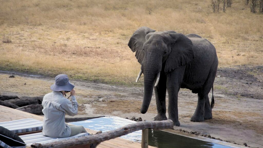 Hwange National Park