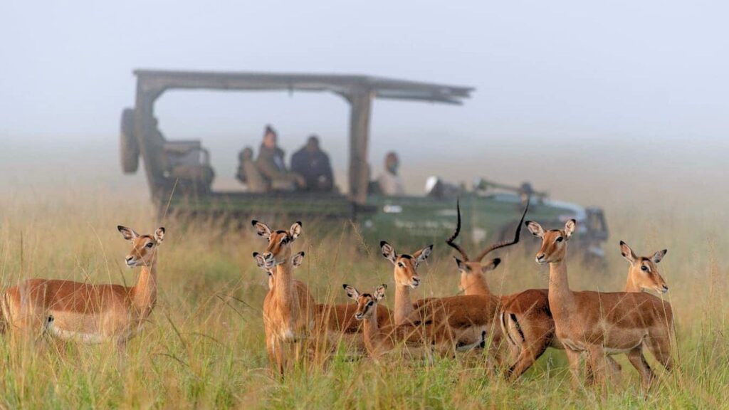 Masai Community Conservancies