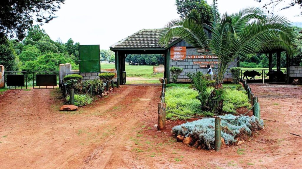 Mount Elgon, Uganda and Kenya