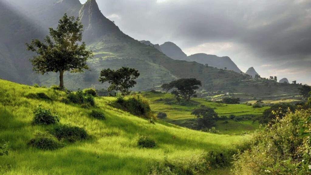 Mount Kenya