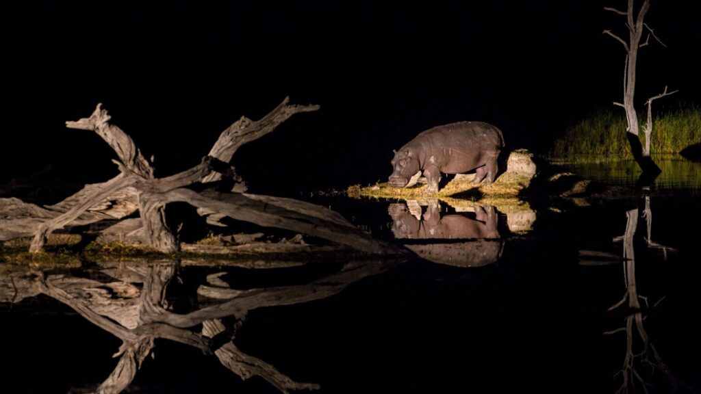 Okavango Delta, Botswana