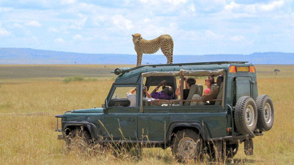 Popular Safari Destinations in Africa