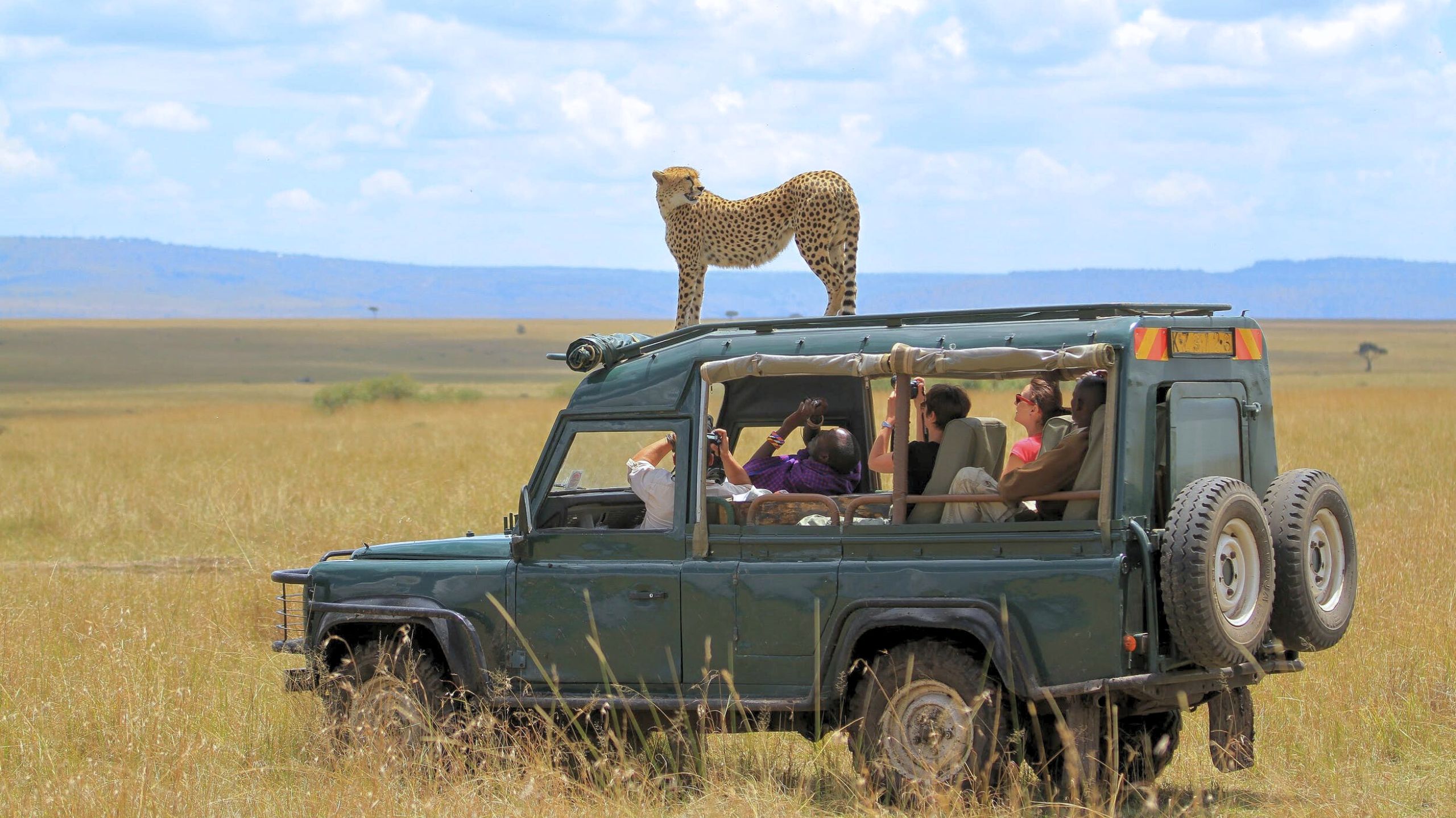 Popular Safari Destinations in Africa,Comparing Guided Group Safaris vs. Private Safaris in Africa