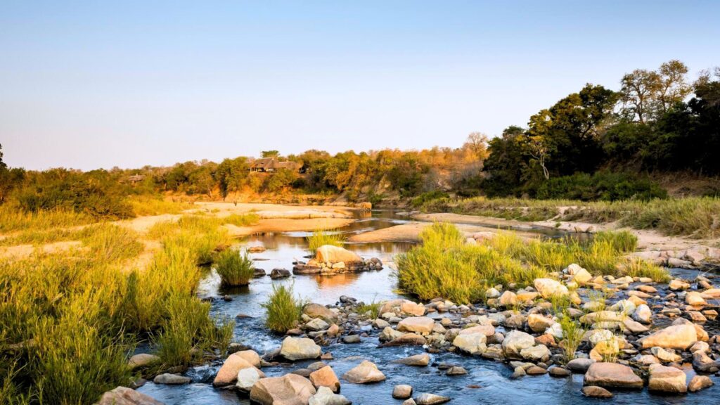 Sabi Sands Game Reserve