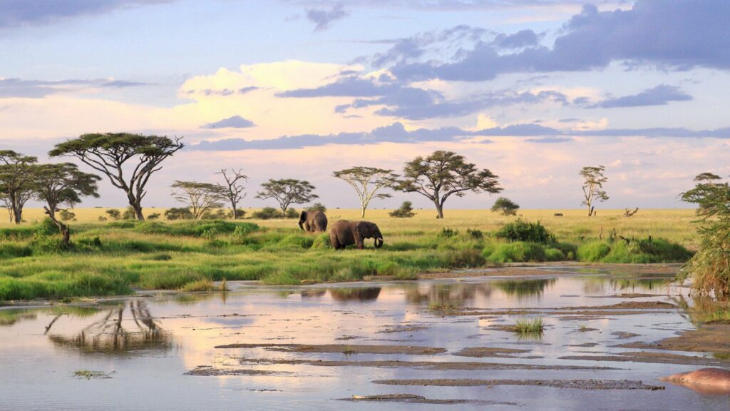 Serengeti National Park