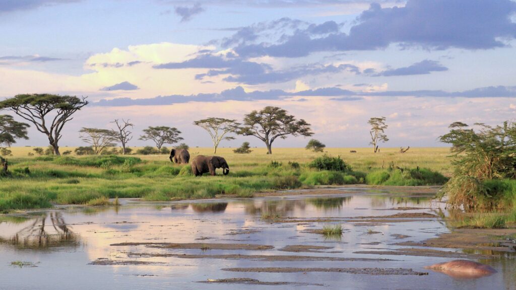 Serengeti National Park, Tanzania