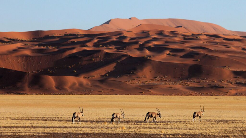 Sossusvlei, Namibia