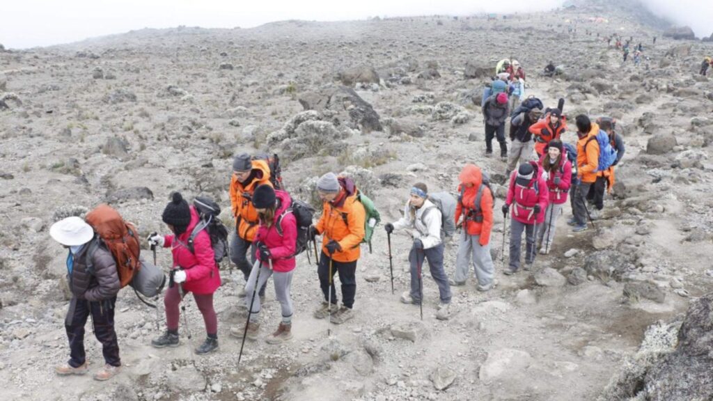 Day-to-Day Journey Climb Mount Kilimanjaro