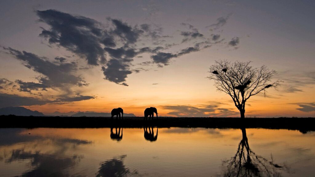 Nature Photography kruger national park